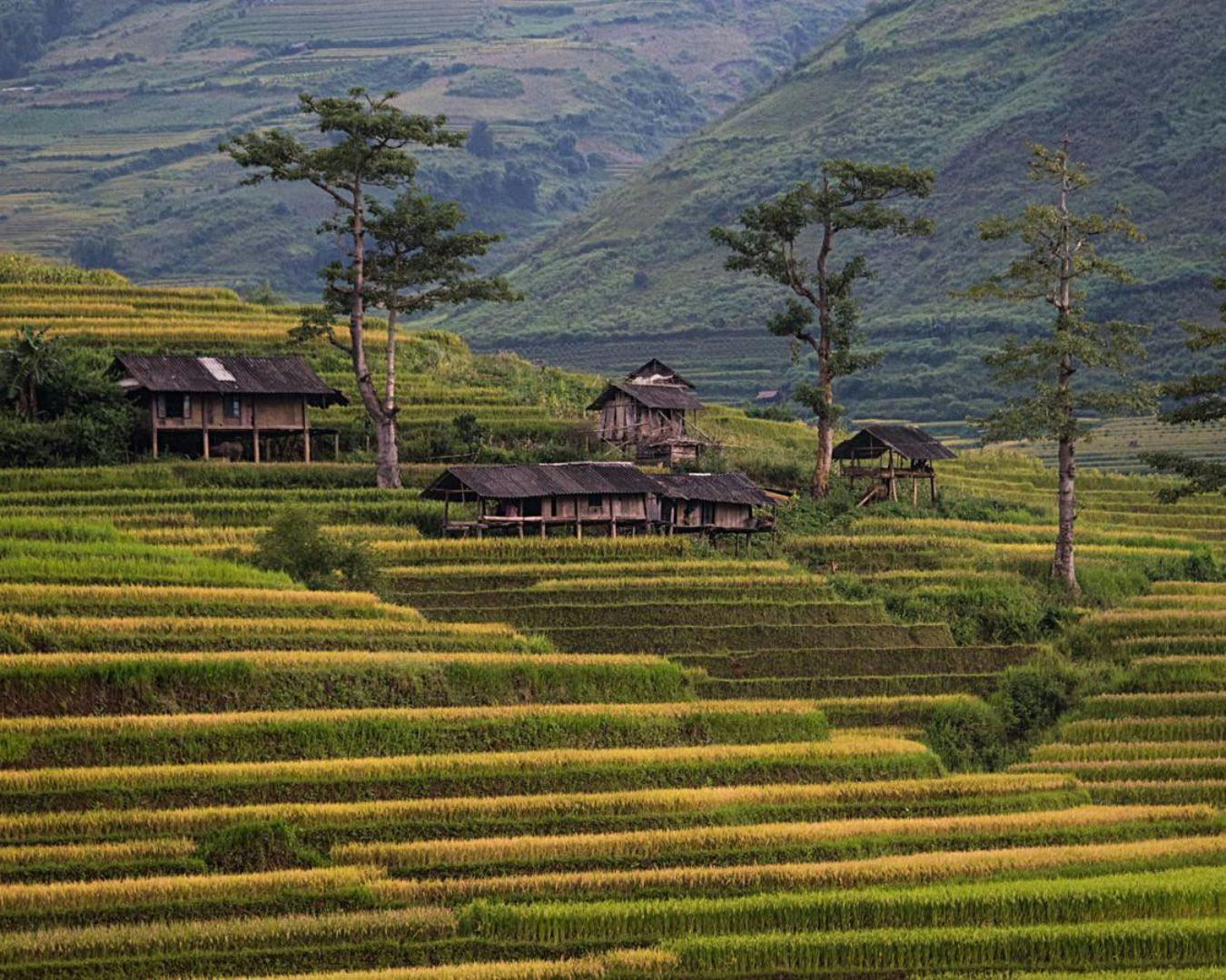 G Adventures Click Frenzy Traveld eals